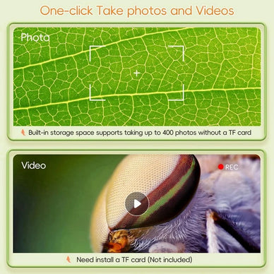 "Unlock Your Child’s Curiosity and Wonder"